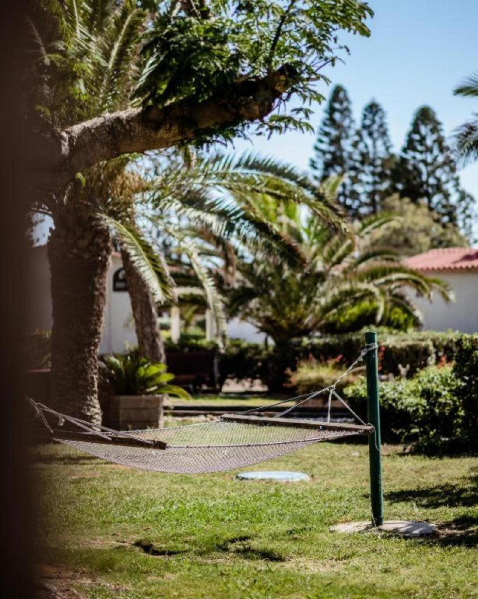 Nachsholim Kibbutz Country Lodging Nachszolim Zewnętrze zdjęcie